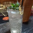 GIN FIZZ